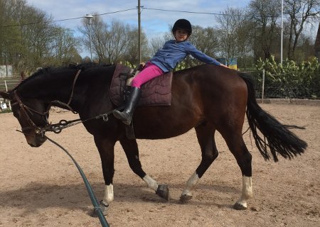 Übungen am Pferd - Voltigieren